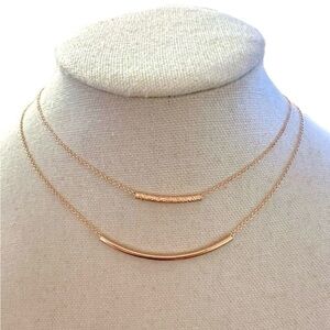 NWT The Limited Rose Goldtone Double Bar Chain Necklace Jewelry